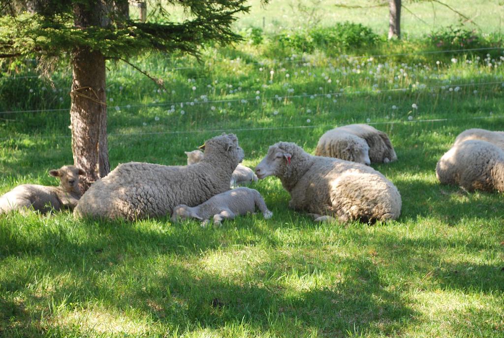 Yorkshire Farm Villa Shintoku Ngoại thất bức ảnh