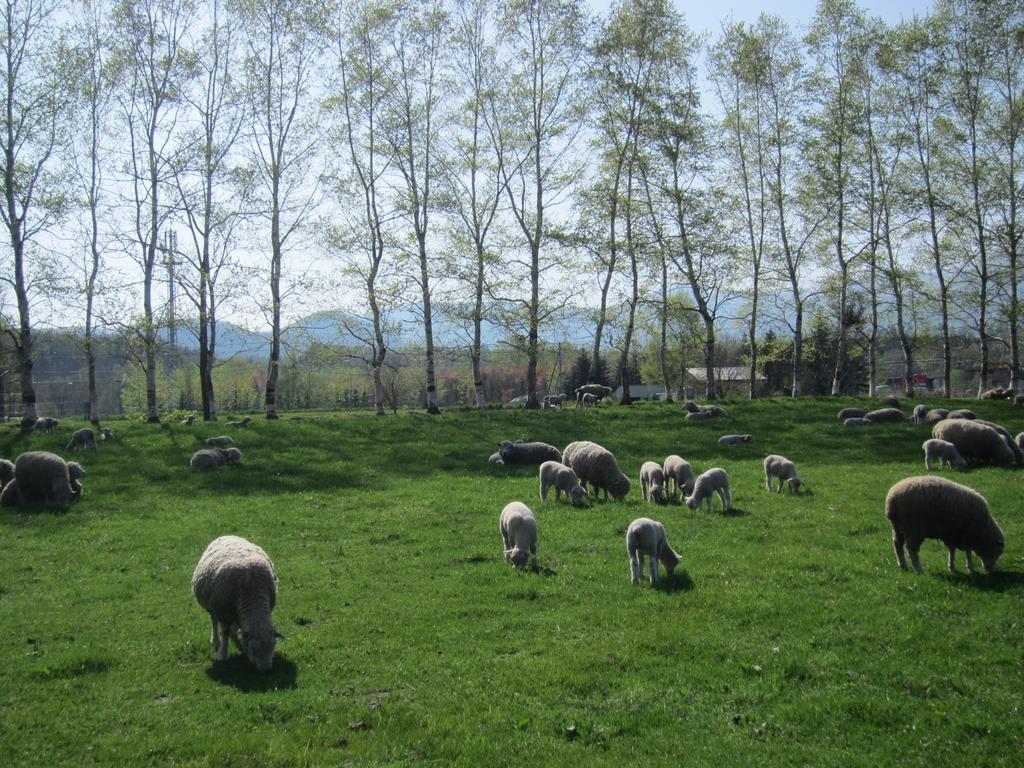 Yorkshire Farm Villa Shintoku Ngoại thất bức ảnh