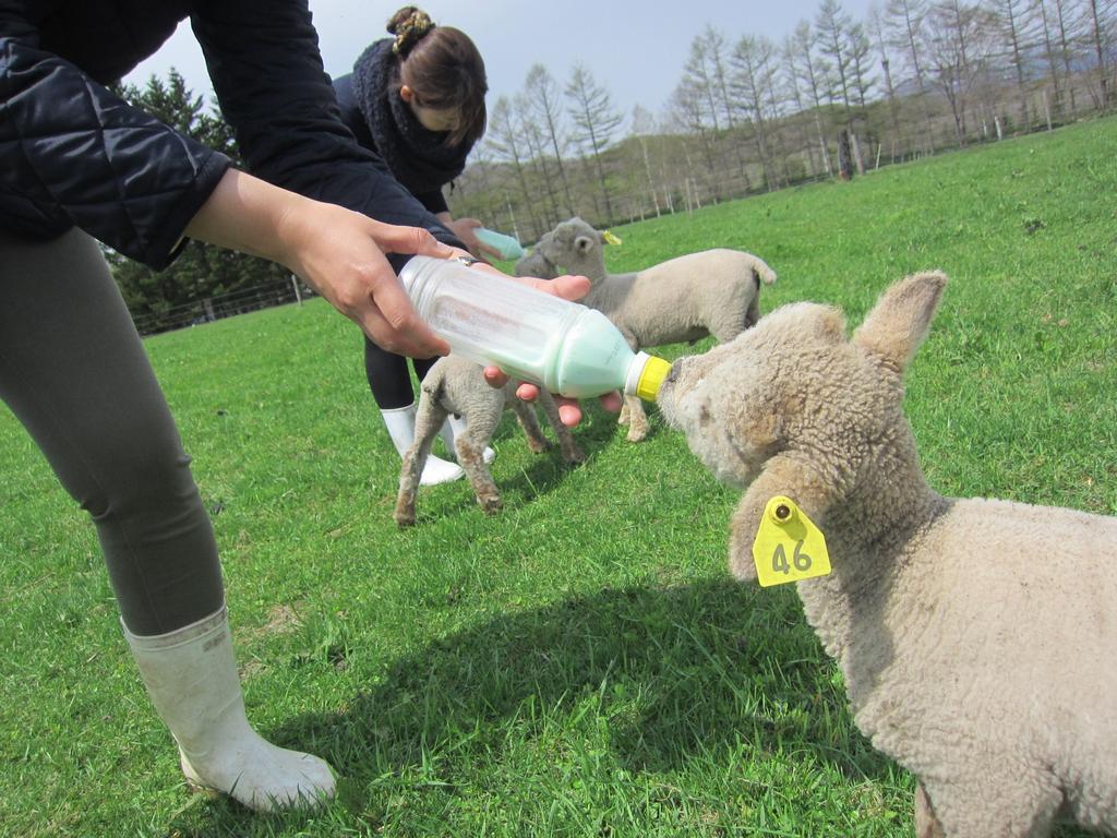 Yorkshire Farm Villa Shintoku Ngoại thất bức ảnh