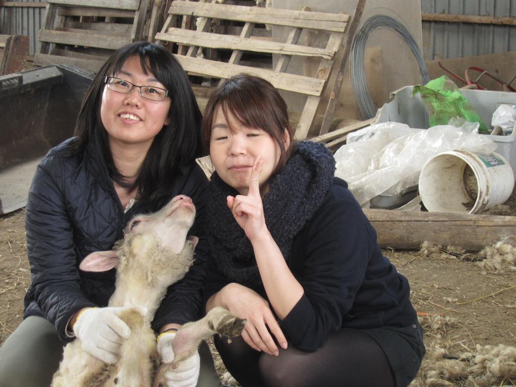 Yorkshire Farm Villa Shintoku Ngoại thất bức ảnh