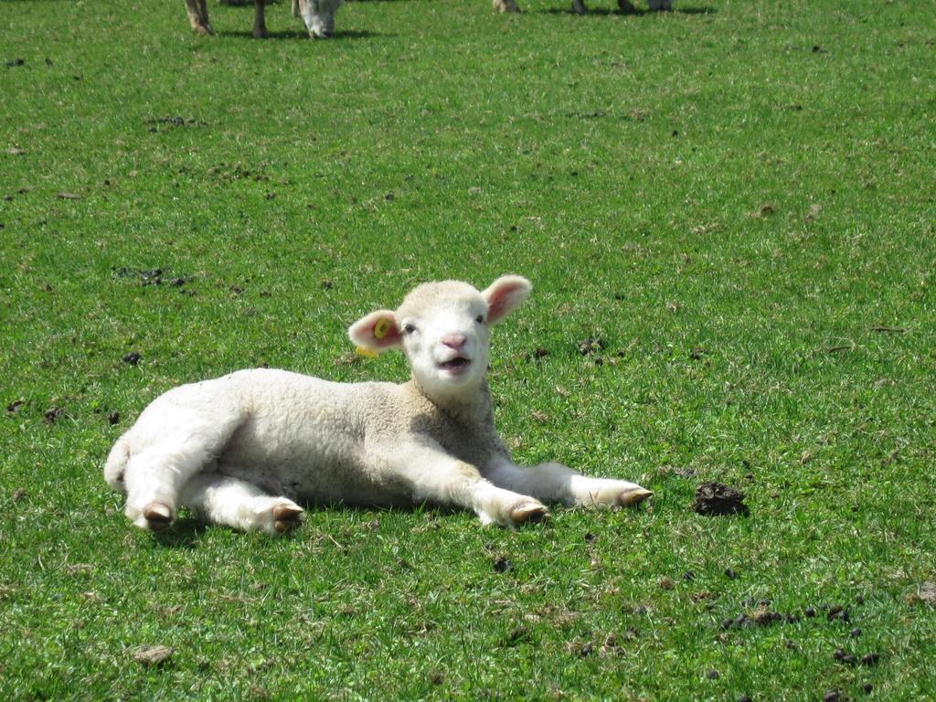Yorkshire Farm Villa Shintoku Ngoại thất bức ảnh